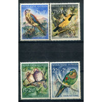 Нидерландские Антильские острова - 1958г. - птицы - 4 марки - полная серия, MNH, лёгкое пожелтение клея [Mi 66-69]. #3-WB-65-A-2