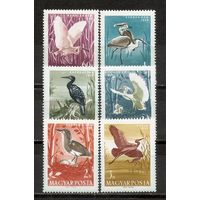 ФФ2 Венгрия 1959 Птицы