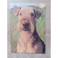 Календарик 1993