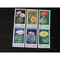 ГДР 1974, Кактусы
