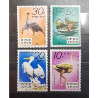 Корея. 1979 год. Фауна. Птицы (384)