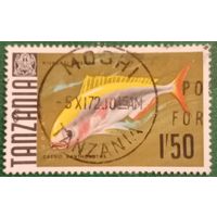 Танзания 1967. Фауна. Рыбы. Желтоспинный Цезий