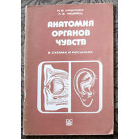 РАСПРОДАЖА. Анатомия органов чувств в схемах и рисунках.