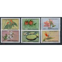 1995 - Румыния Цветы Флора MNH