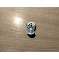 Футбольный клуб Динамо Ставрополь