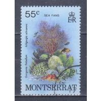 [2386] Монтсеррат 1979. Морская фауна.Кораллы и другие. Гашеная марка. 2