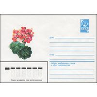 Художественный маркированный конверт СССР N 14055 (09.01.1980) Пеларгония зональная
