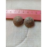 Распродажа. Две большие польские пуговицы. Старт с 1 рубля.