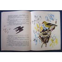 Виталий Бианки. Лесные домишки Художник Май Митурич (большой формат)