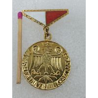 Знак ПНР. За заслуги перед Краковским регионом.