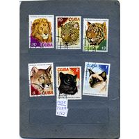 КУБА, 1977, КОШАЧЬИ, Серия 6м гашен