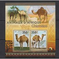 Джибути 2013** Животные Африки