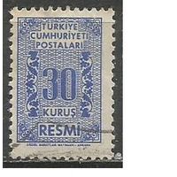 Турция. Цифра в обрамлении. Доплатная марка. 1962г. Mi#83.
