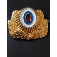 Кокарда РФ (6).