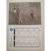 Карманный календарик. Собака.1993 год
