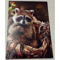 Посткроссинг. Открытка Енот и сова (10х15). Прошла почту. Художественные марки, чёткий штемпель.