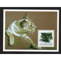 Кошки Гвинея 2002 год 1 блок