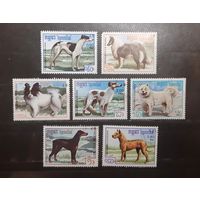 Камбоджа. 1987 год. Фауна. Собаки (777)