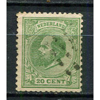 Нидерланды - 1872/1888 - Король Виллем III 20C - [Mi.24D] - 1 марка. Гашеная.  (Лот 17JN)-T4P1