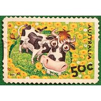 Австралия 2005. Корова Эбигейлиз серии на ферме