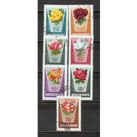 ФФ2 Венгрия 1962 Цветы гаш