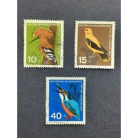 Германия 1963. Молодежный хостел - Птицы