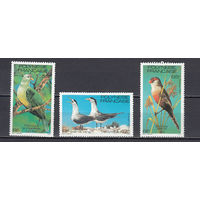 Фауна. Птицы. Полинезия. 1981. 3 марки. Michel N 333-335 (6,5 е).