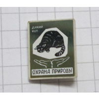 Охрана природы. Дикий кот