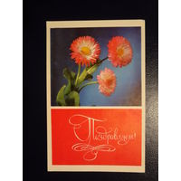 Поздравляем!  Астры.  1969 г.  подписанная.