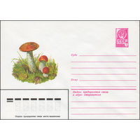 Художественный маркированный конверт СССР N 13416 (03.04.1979) Подосиновик
