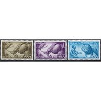 Испанская колония Рио Муни 1966. Фауна. 3 марки Mi 69-71