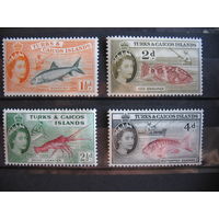 Брит. колония о-ва Тёркс и Кайкос. Рыбы,  1957 г. металлография,  2 фото. см. условие.