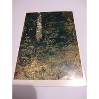 Открытка 1984г.  И. И. Шишкин. Береза и  рябинки.
