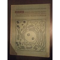 Атлас микроскопического строения клеток тканей органов