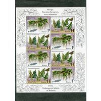 Беларусь 2012. Флора. Папоротники. Малый лист