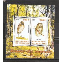 ФФ3 Бурунди 2011 Совы