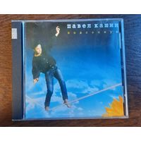 Павел Кашин – Подсолнух