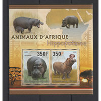 Джибути 2013** Животные Африки