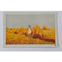 До 1917 года    открытка