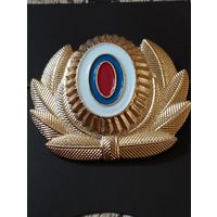 Кокарда РФ (7).