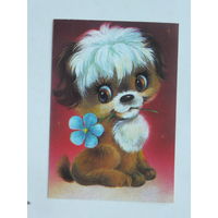 Соловьев собачка   мини открытка 1980-е