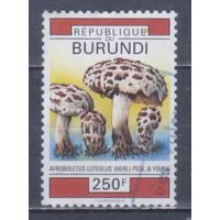 [871] Бурунди 1992. Грибы.250фр. Концовка серии.Гашеная марка. Кат.гаш.6 е.