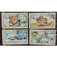 Монголия 1986. Фауна. Птицы. Пеликаны