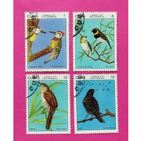 Куба. Птицы. ( 4 марки ) 1977 года. 8-15.