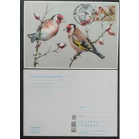 Беларусь 2018 КМ птица года, черноголовый щегол .