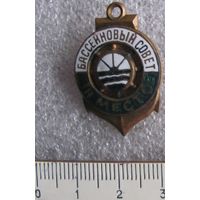 Знак Бассейновый совет 3 место