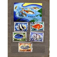 КНДР, 1991,  РЫБЫ,     серия 5м + блок,  гашен