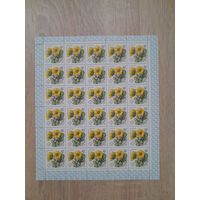 Лист 1981 г. Цветы украинских Карпат  10 к.