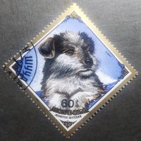 Монголия 1984 год Собака