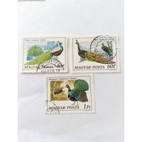 Венгрия 1977     3 м птицы  фазаны